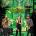 Lady Antebellum "Wheels Up Tour" DVD Cover