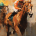 Horse Betting Tips