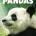 IMAX Pandas