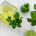 THC Oil Business Things To Know